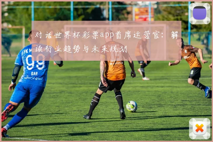 对话世界杯彩票app首席运营官：解读行业趋势与未来规划