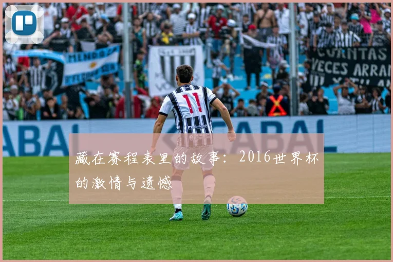 藏在赛程表里的故事：2016世界杯的激情与遗憾