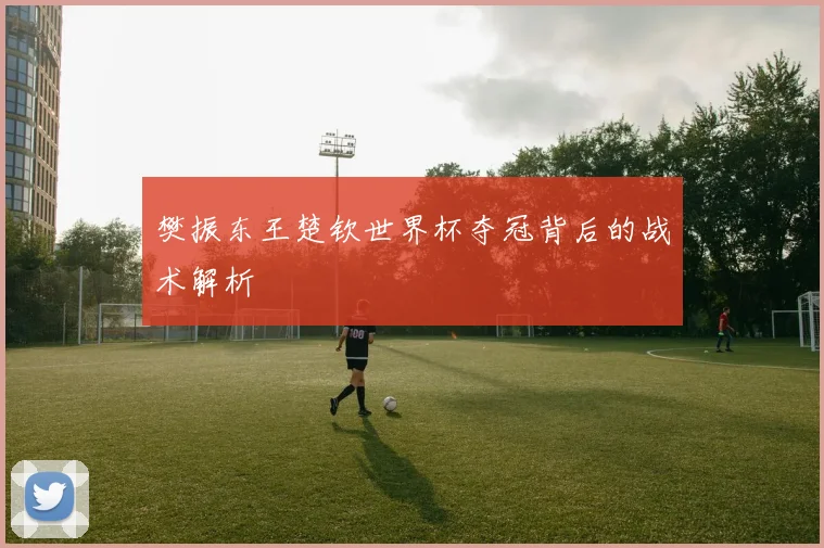 樊振东王楚钦世界杯夺冠背后的战术解析